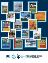 Inspection Panel at 30 Years